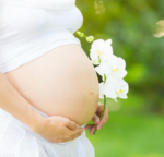 Предотвращение появления растяжек при беременности.